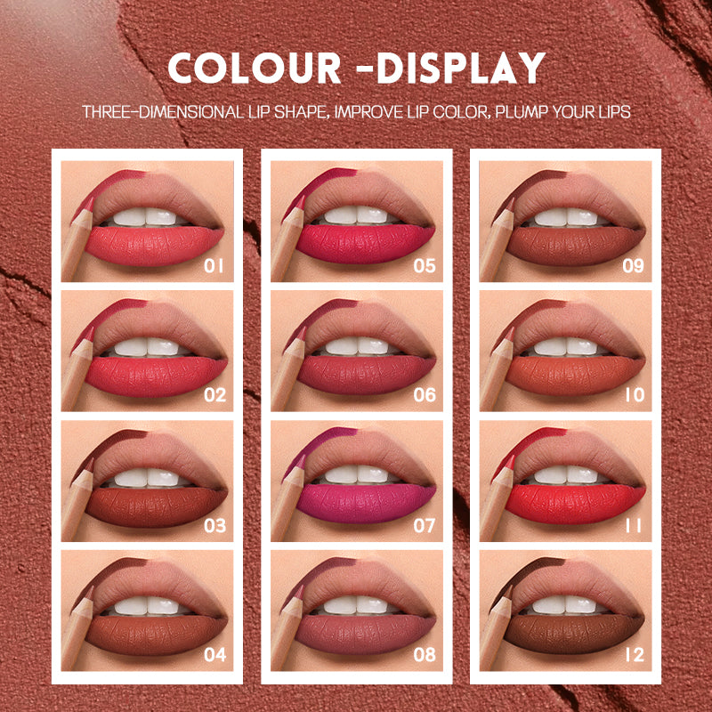 Precision pout lip liner kit